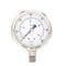 Pic Gauges 2 1/2 in Dial, 1/4 in NPT Male Lower Location, Stainless Steel Case Material PRO-301D-254K-01 - alternate 1